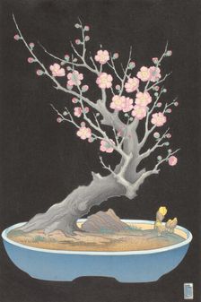 Japanese Dwarf Plum, 1928. Creator: Lillian May Miller