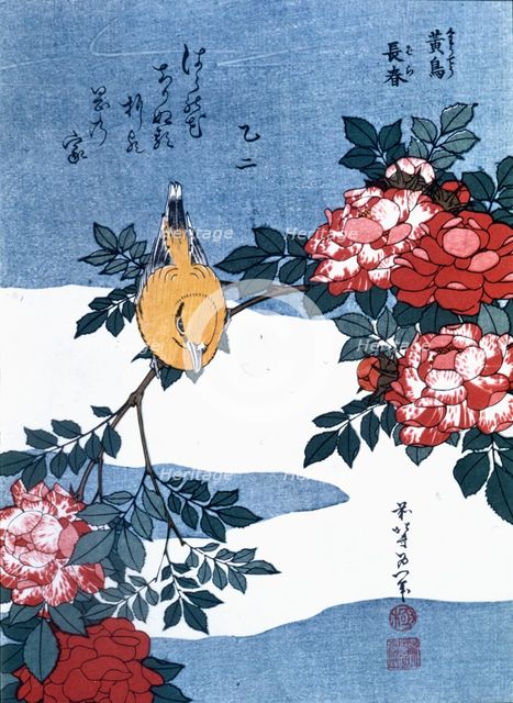 'Japanese Finch', 19th century. Creator: Hokusai, Katsushika (1760 -1849).