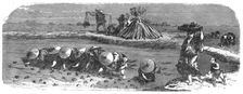 Japanese in the Rice-field; A European Sojourn in Japan 1875. Creator: Unknown