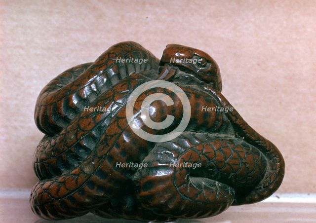 Japanese Netsuke of a snake, 19th century. Artist: Unknown
