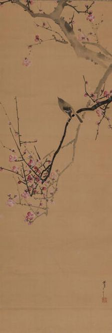 Japanese nightingale, on a red plum branch, 1910. Creator: Seitei (Shotei); Watanabe (1851-1918)