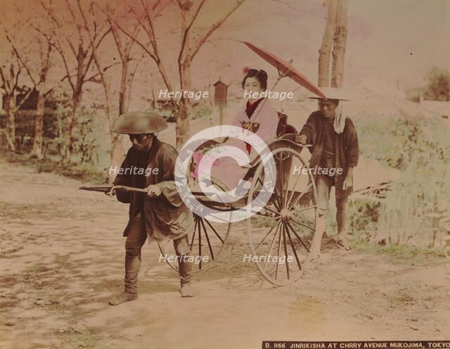 Japanese woman on a rickshaw at Avenue Mukojima, Tokyo, c. 1890. Creator: Kimbei, Kusakabe (1841-1932).