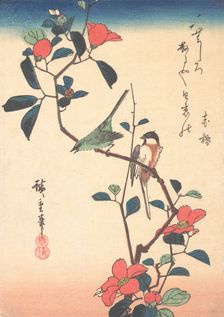 Japanese White-eye and Titmouse on a Camellia Branch, ca. 1840., ca. 1840. Creator: Ando Hiroshige