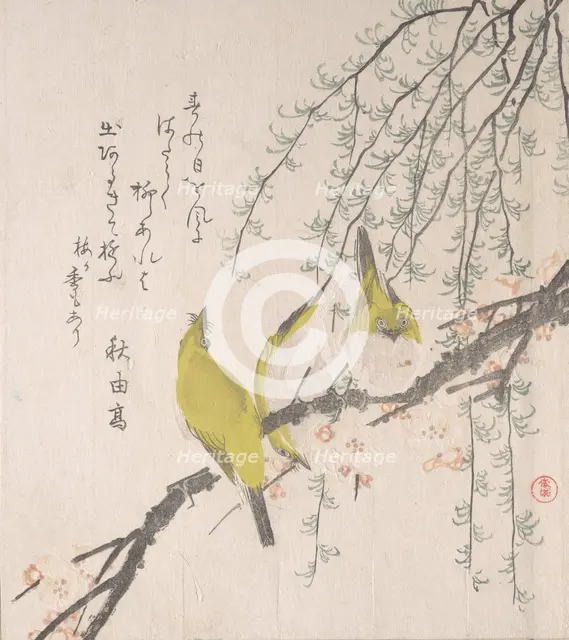 Japanese White-eyes with Plum Tree and Willow..., ca. 1810. Creator: Kubo Shunman.