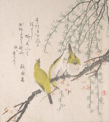 Japanese White-eyes with Plum Tree and Willow..., ca. 1810. Creator: Kubo Shunman