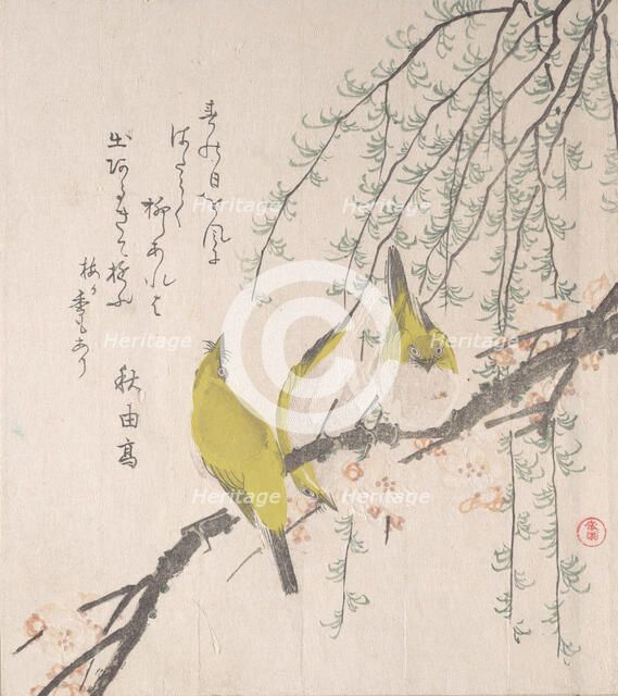 Japanese White-eyes with Plum Tree and Willow..., ca. 1810. Creator: Kubo Shunman.