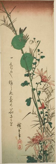 Japanese White-eyes and Chrysanthemums, c. 1830/44. Creator: Ando Hiroshige