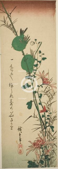 Japanese White-eyes and Chrysanthemums, c. 1830/44. Creator: Ando Hiroshige.