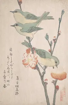 Japanese White-eyes on a Branch of Peach Tree,..., ca. 1805-10. Creator: Kubo Shunman