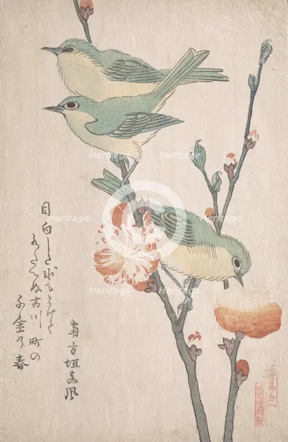 Japanese White-eyes on a Branch of Peach Tree,..., ca. 1805-10. Creator: Kubo Shunman.