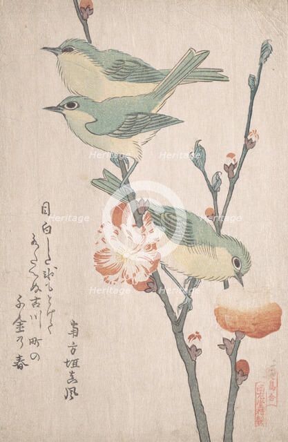 Japanese White-eyes on a Branch of Peach Tree,..., ca. 1805-10. Creator: Kubo Shunman.