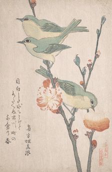 Japanese White-eyes on a Branch of Peach Tree,..., ca. 1805-10. Creator: Kubo Shunman