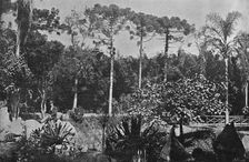 Jardim Publico 1895. Artists: Wilhelm Gaensly, Rudolf Friedrich Fra