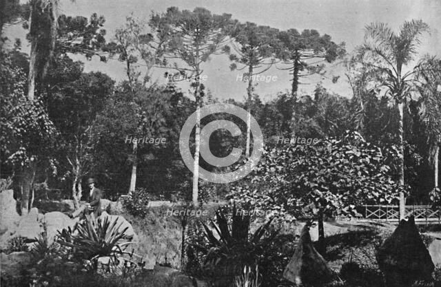 'Jardim Publico', 1895. Artists: Wilhelm Gaensly, Rudolf Friedrich Fra.