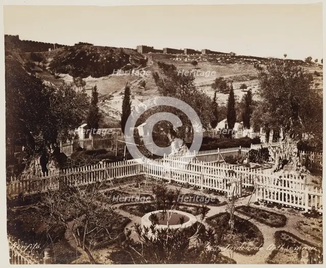 Jardin De Gethseman #303, Printed c.1870. Creator: Felix Bonfils.