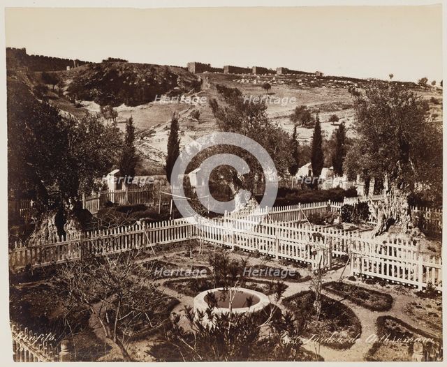 Jardin De Gethseman #303, Printed c.1870. Creator: Felix Bonfils.