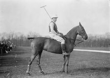 J.C. Phipps, between c1910 and c1915. Creator: Bain News Service