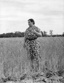 Jewish-American farm mother, Mrs. Cohen, wife of the farm manager, Hightstown, New Jersey, 1936. Creator: Dorothea Lange
