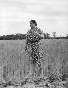 Jewish-American farm mother, Mrs. Cohen, wife of the farm manager, Hightstown, New Jersey, 1936. Creator: Dorothea Lange