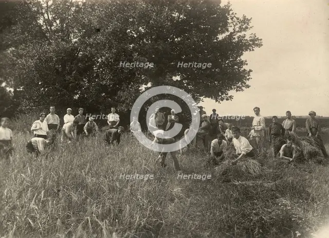 Jewish Pedagogical College and Agricultural School - At field work/Barley is..., Minsk, 1922-1923. Creator: Unknown.