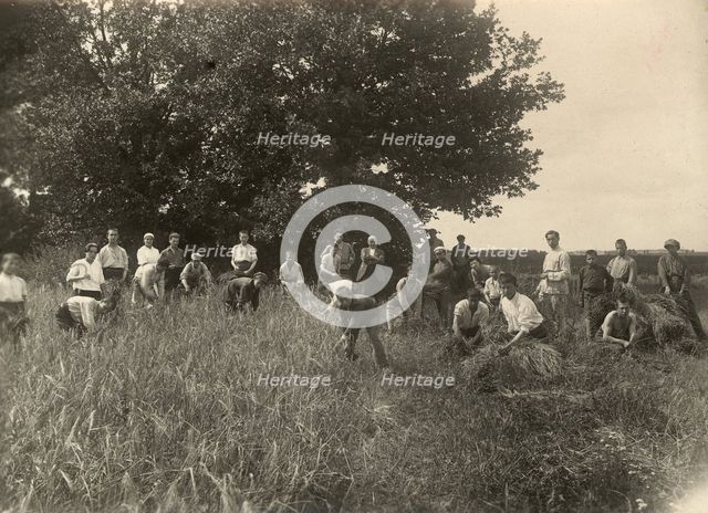 Jewish Pedagogical College and Agricultural School - At field work/Barley is..., Minsk, 1922-1923. Creator: Unknown.