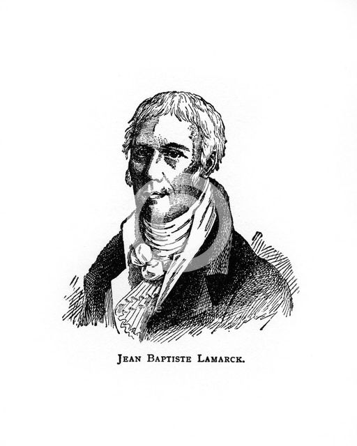 Jean-Baptiste Lamarck, French naturalist, (20th century). Artist: Unknown