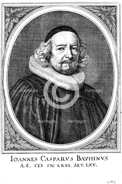 Jean Caspar Bauhin (1606-1659), Swiss physician and botanist. Artist: Unknown