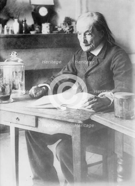 Jean Henri Fabre, between c1910 and c1915. Creator: Bain News Service.