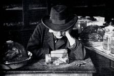 Jean-Henri Fabre, French entomologist, c early 20th century