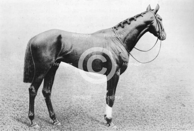 'Jeddah', 1895-1909, (1911). Artist: Unknown.