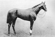 Jeddah 1895-1909, (1911)