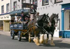 Jennings dray, Georgian festival, Cockermouth, Cumbria. Creator: Peter Thompson