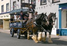 Jennings dray, Georgian festival, Cockermouth, Cumbria. Creator: Peter Thompson