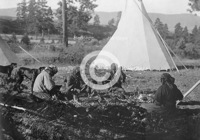 Jerking meat-Flathead, c1910. Creator: Edward Sheriff Curtis.