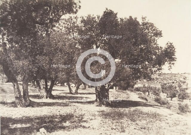 Jérusalem, Champ du sang, 1854. Creator: Auguste Salzmann.