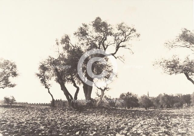 Jérusalem, Chemin de Naplouse, 1854. Creator: Auguste Salzmann.