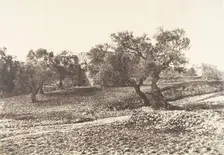 Jérusalem, Porte d'Hérode, 1854. Creator: Auguste Salzmann