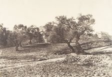 Jérusalem, Porte d'Hérode, 1854. Creator: Auguste Salzmann