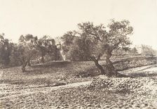 Jérusalem, Porte d'Hérode, 1854. Creator: Auguste Salzmann