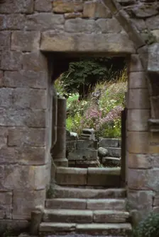 Jervaulx Abbey, Wensleydale, Yorkshire, 20th century. Artist: CM Dixon