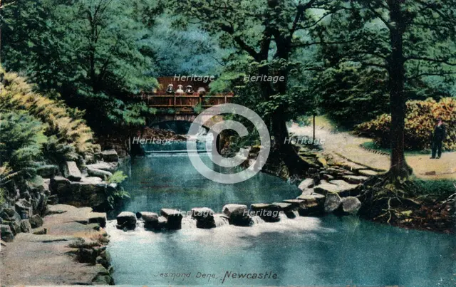 Jesmond Dene, Newcastle, c1905. Artist: Unknown.