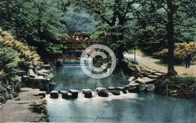 Jesmond Dene, Newcastle, c1905. Artist: Unknown.