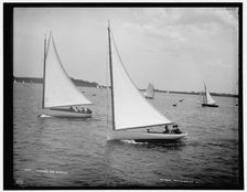 Jester and Myrtle, between 1880 and 1899. Creator: Unknown