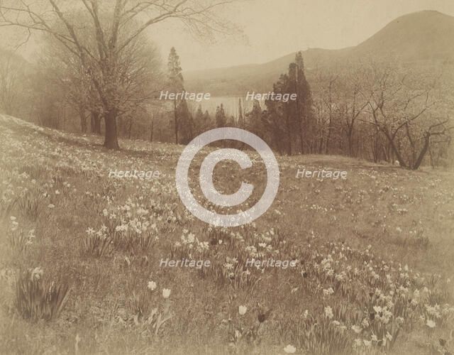 J.P. Morgan Estate, "Cragston," on the Hudson , 1913. Creator: Frances Benjamin Johnston.