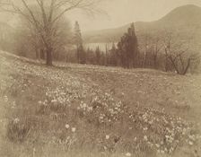 J.P. Morgan Estate, "Cragston," on the Hudson , 1913. Creator: Frances Benjamin Johnston