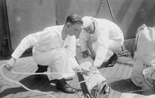 J.S. Morgan & A. Greenough, 1916. Creator: Bain News Service