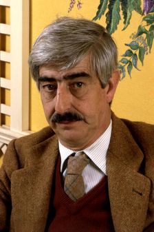 Juan Benet (Madrid 1927-1993), Spanish novelist