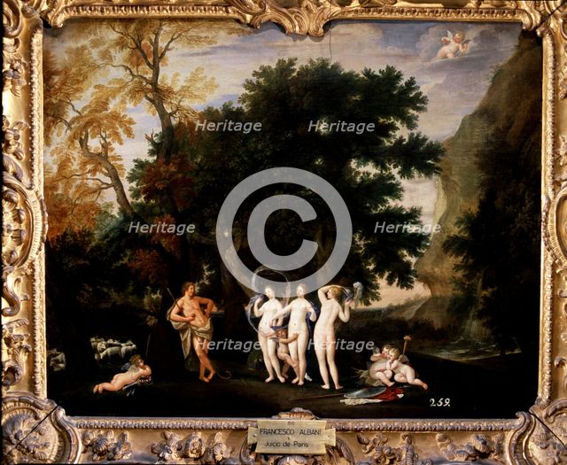Judgement of Paris, the shepherd Paris has to give the golden apple to the most beautiful of the …