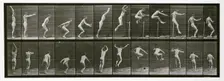 Jumping, 1872-1885. Creator: Eadweard J Muybridge