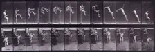 Jumping, 1872-1885. Creator: Eadweard J Muybridge